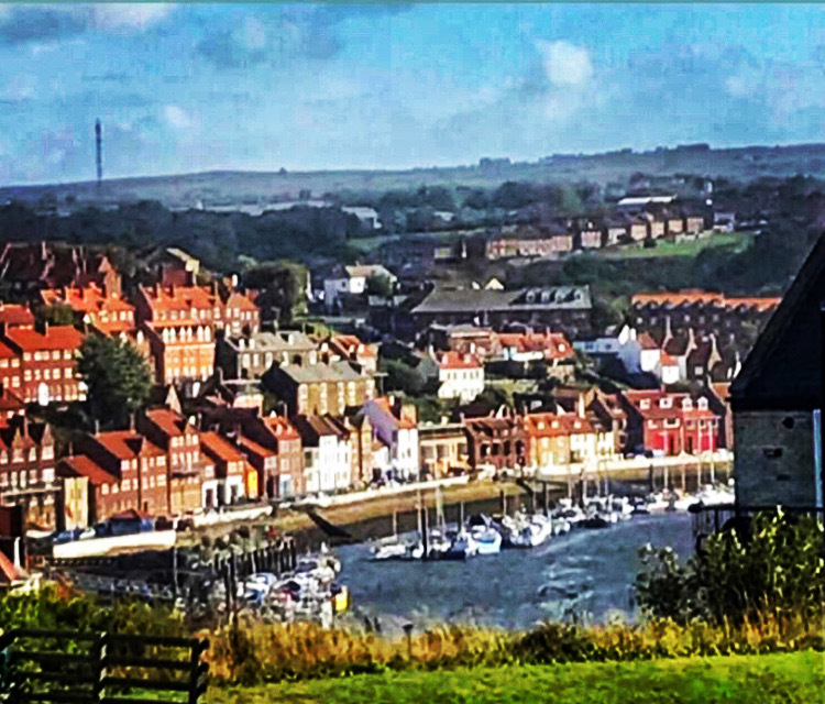 Whitby roof tops & further afield 